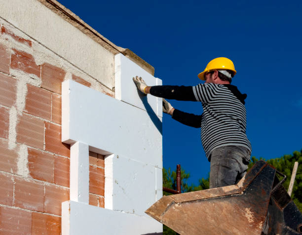 Best Residential Insulation in Carrollton, MO