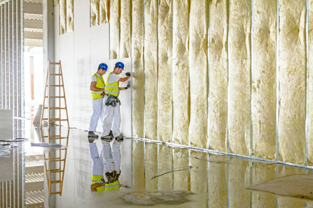 Best Insulation Installation Services in Carrollton, MO